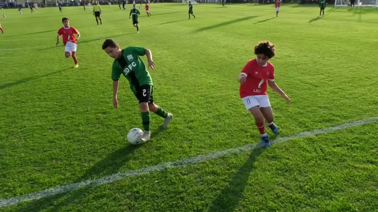 الاهلى و ZED2010