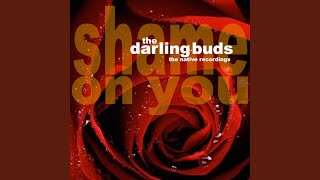 Video thumbnail of "The Darling Buds - Shame On You"