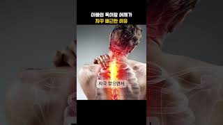 📌 아빠 목·어깨 자꾸 뻐근하다면? #목통증 #어깨통증 #경추연관통 #정형외과 #건강정보