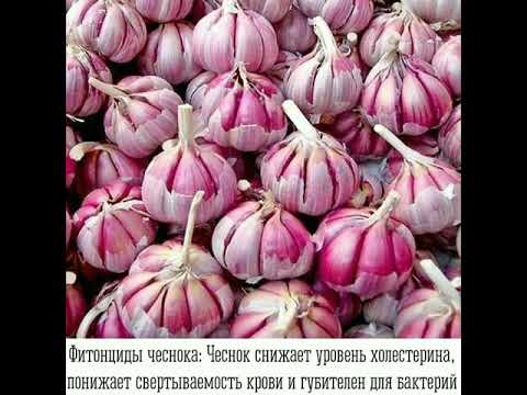 Свертываемость крови: Можно ли при гастрите кушать чеснок, как понижающие свертываемость крови