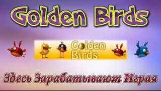 Golden Birds - заработок на яйцах, Заработок в интернете с Golden Birds