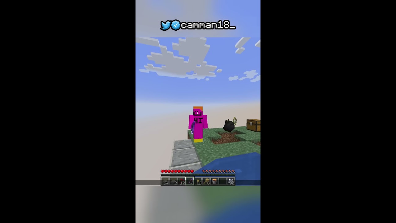 Skyblock But Block Drops Are Random