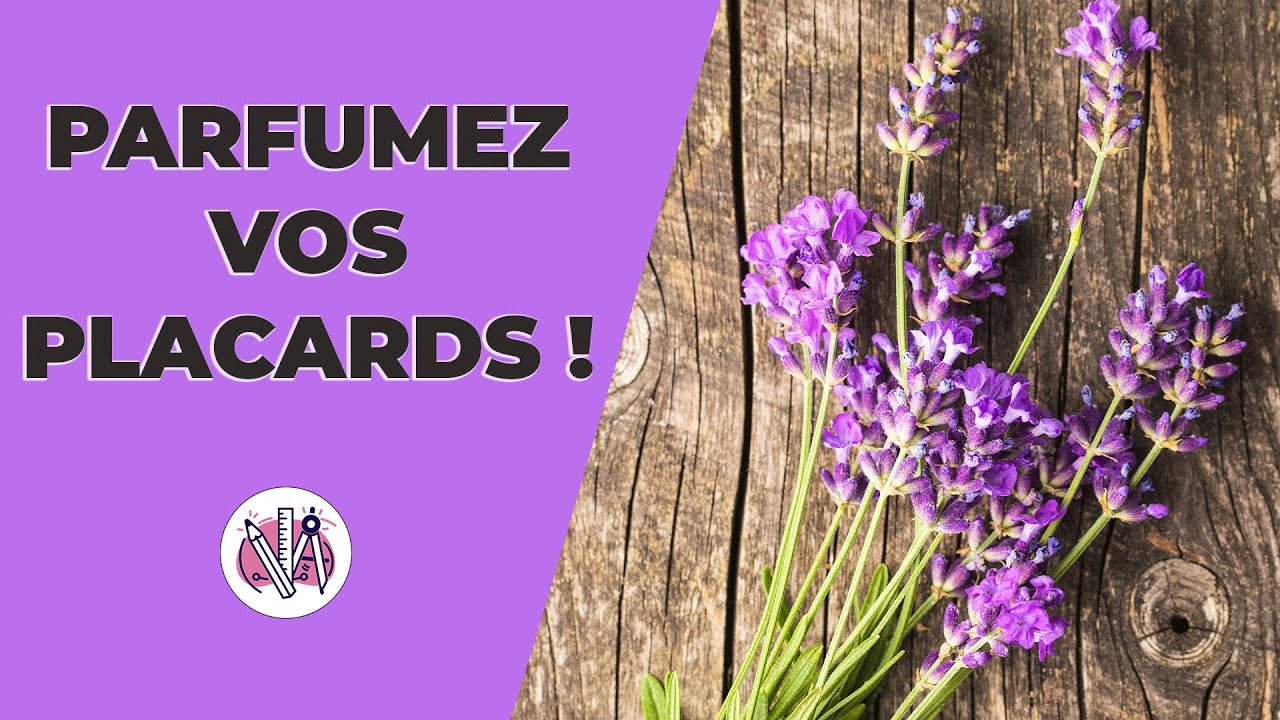 DIY Sachets de Lavande Maison : 4 Techniques Simples et Parfumées !