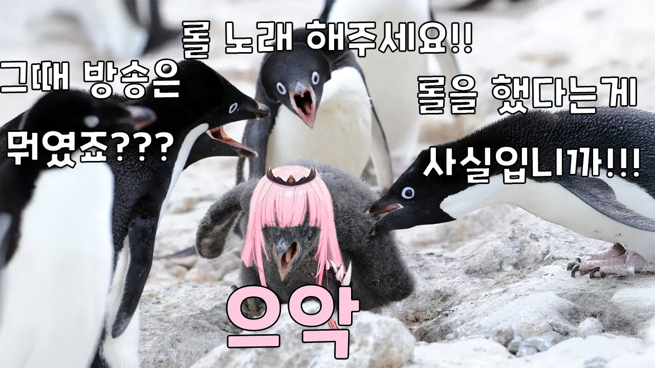 뭐라고 롤을 했다고?