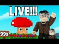 Pflanzen vs brainrots zocken und traden