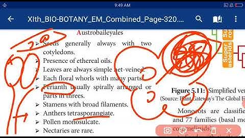 11 TH BIO-BOTANY, CHAPTER-5, TAXONOMY