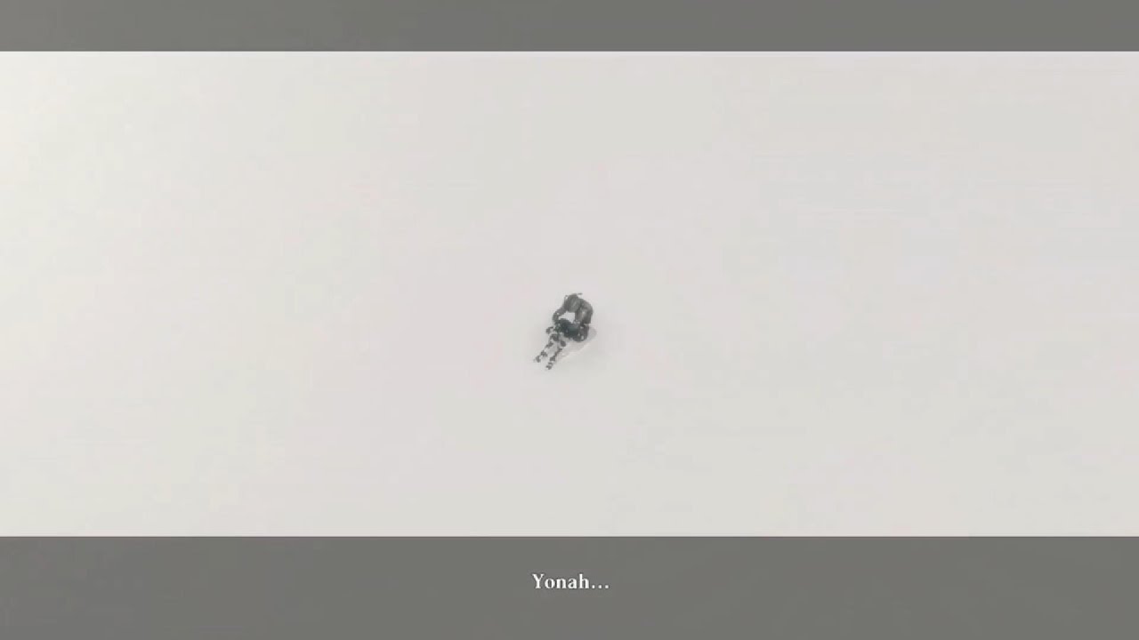 Nier Replicant Part 24 Brother Nier (Ending B) + Gestalt Reports