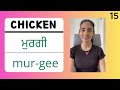 100 Punjabi Words | Learn Punjabi Words | Learn English to Punjabi Mp3 Song