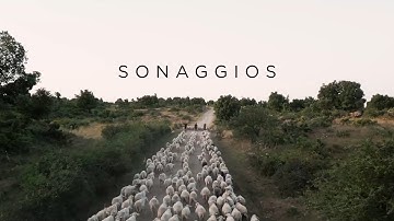 Sonaggios | Official Trailer