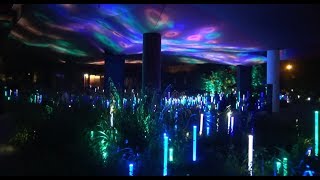 ► Le Jardin Nocturne Du Musée Du Quai Branly (Installation Lumineuse Par L'artiste Yann Kersalé)