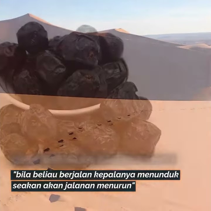 Buku Syamail Muhammad