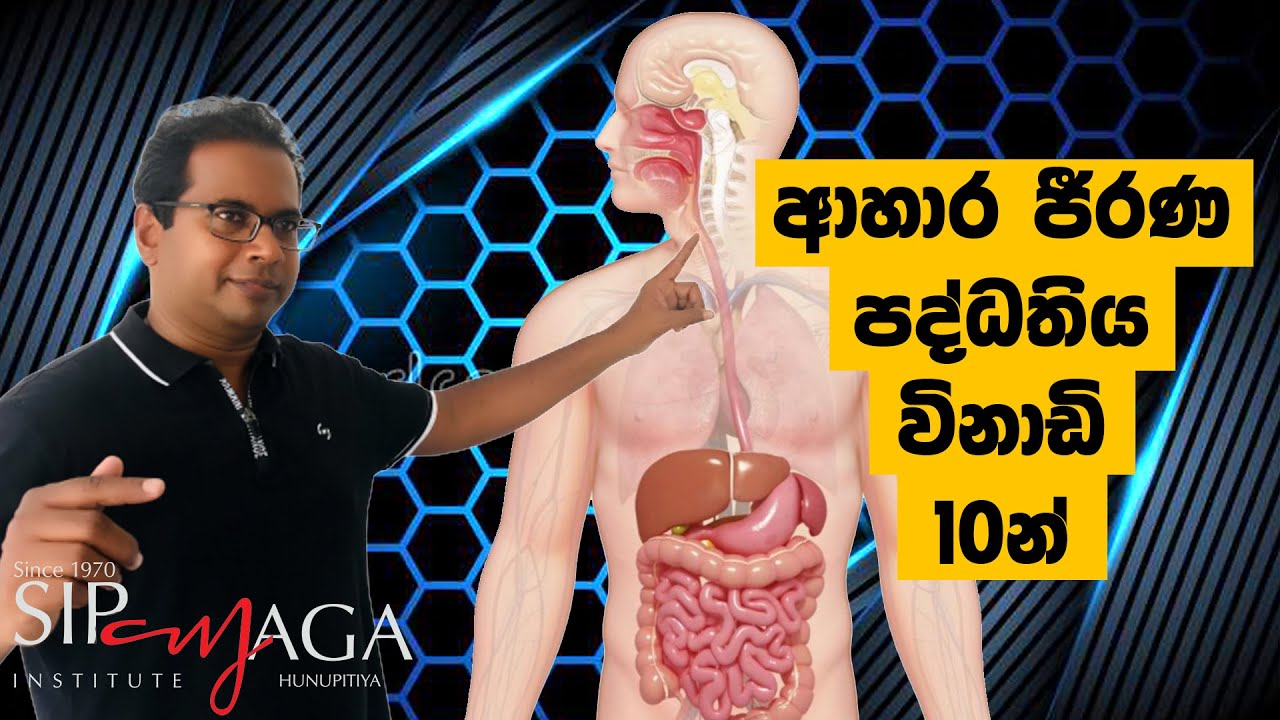 Ahara jeerana padathiya / ආහාර ජීර්ණ පද්ධතිය / The Digestive system