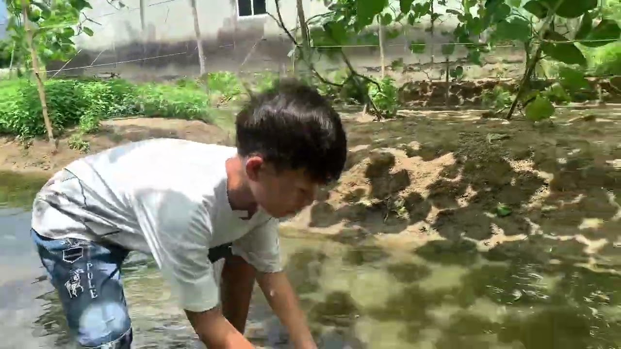 hàng trình đua ghe ngo, tập 1