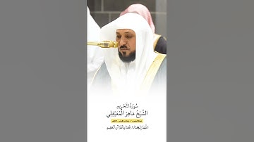 سورة التحريم | الشيخ #ماهر_المعيقلي