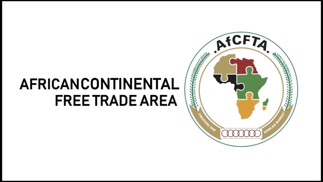 Still from Nigeria's AfCFTA Implementation