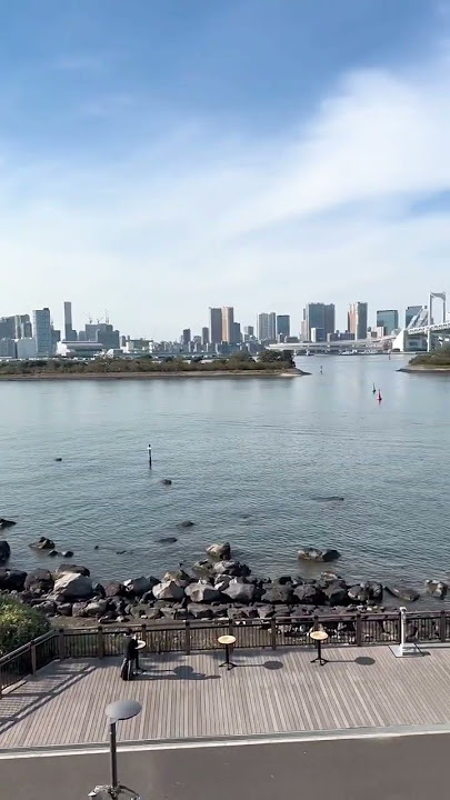 Odaiba Park!! 🇯🇵❤️ #japan #japon #tokyo #odaiba #mexicanosxelmundo #beautiful