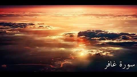 سورة غافر كاملة #قران_كريم #اكسبلور #منوعات 