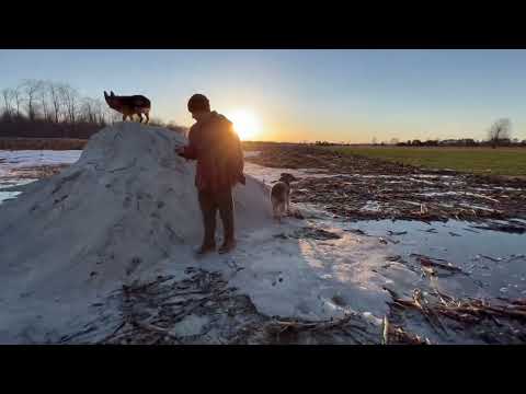 ВЕЧЕРНЯЯ ПРОГУЛКА/ США/