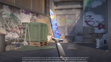 CS2 New Updated Case Hardened Knife