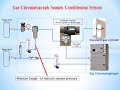 Gas chromatograph sample conditioning system