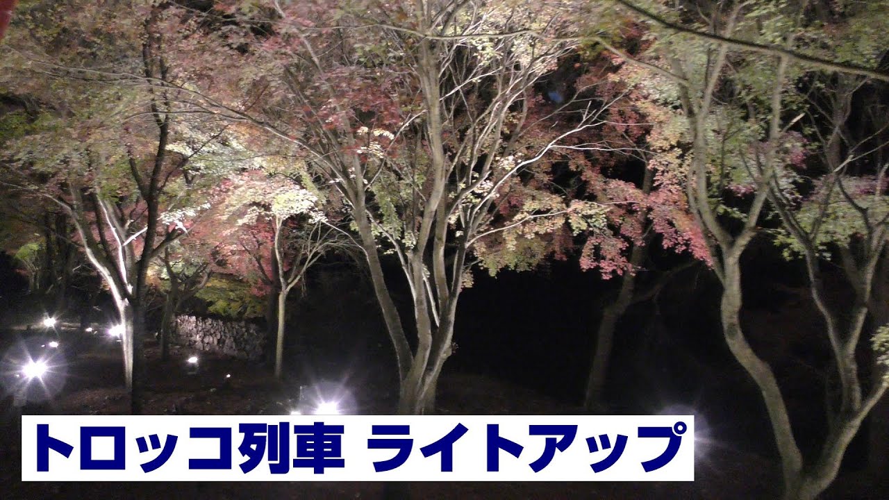 京都 嵯峨野トロッコ列車 夜間ライトアップ Youtube