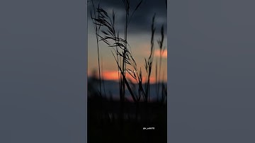 Ehsaas ~ Faheem Abdullah | 💔 Broken Heart Aesthetic Lyrics Video #shorts #song #lyrics