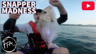 Winter Snapper Fishing with Surprise Catch! // FISHING WHANGAMATA