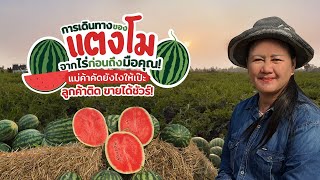 แตงโมเงินล้าน...ไม่เกินจริง "เจ๊นก" จะเล่าให้ฟัง! | เทคโนโลยีชาวบ้าน