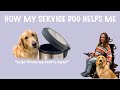How my service dog helps me!