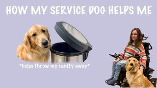 How my service dog helps me!