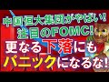 【米国株】更なる下落にパニックになるな！注目のFOMC！中国恒大集団がやばい！テクノロジー株の先行指標！超大型巨人！【ジムクレイマー・Mad Money】