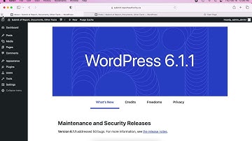 Creating a Post Category in WordPress