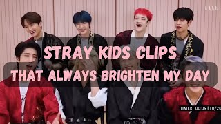[BexEdits] Stray Kids Clips That Brighten My Day