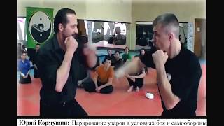 Юрий Кормушин. Парирование ударов в условиях боя и самообороны. Юрий Кормушин. Парирование ударов в условиях боя и самообороны.