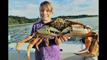 Catching Dungeness Crab in Puget Sound