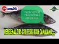 ciri-ciri yang membedakan ikan cakalang dengan ikan tongkol...