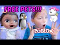 BABY ALIVE GIVES AWAY FREE ANIMALS and HATCHES EGGS! The Lilly and Mommy Show. FUNNY KIDS SKIT!