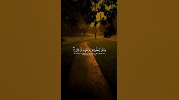 اكتب شيء تؤجر عليه 😊🤍 #راحة_نفسية القارئ ياسر الدوسري