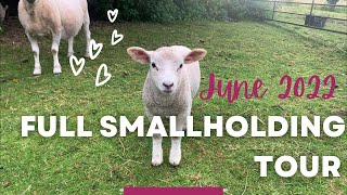 Full Smallholding TOUR | June 2022 | UK Homestead