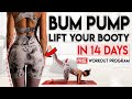 BUM PUMP 🔥 Lift Your Booty in 14 Days | Free Home Workout Program