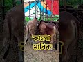 কালো মানিক #মর্নিং2pmরেজাল্ট #news #viralvideo #funny #reels #reels #বোয়ালখালী