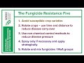 Afren fungicide resistance five animation