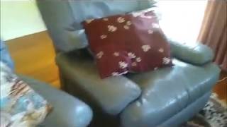A Way to Anchor Sofa Cushions