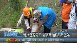 1080726新北新聞網05 新北市平溪區 積水發現孑孓 新寮里加強防登革熱