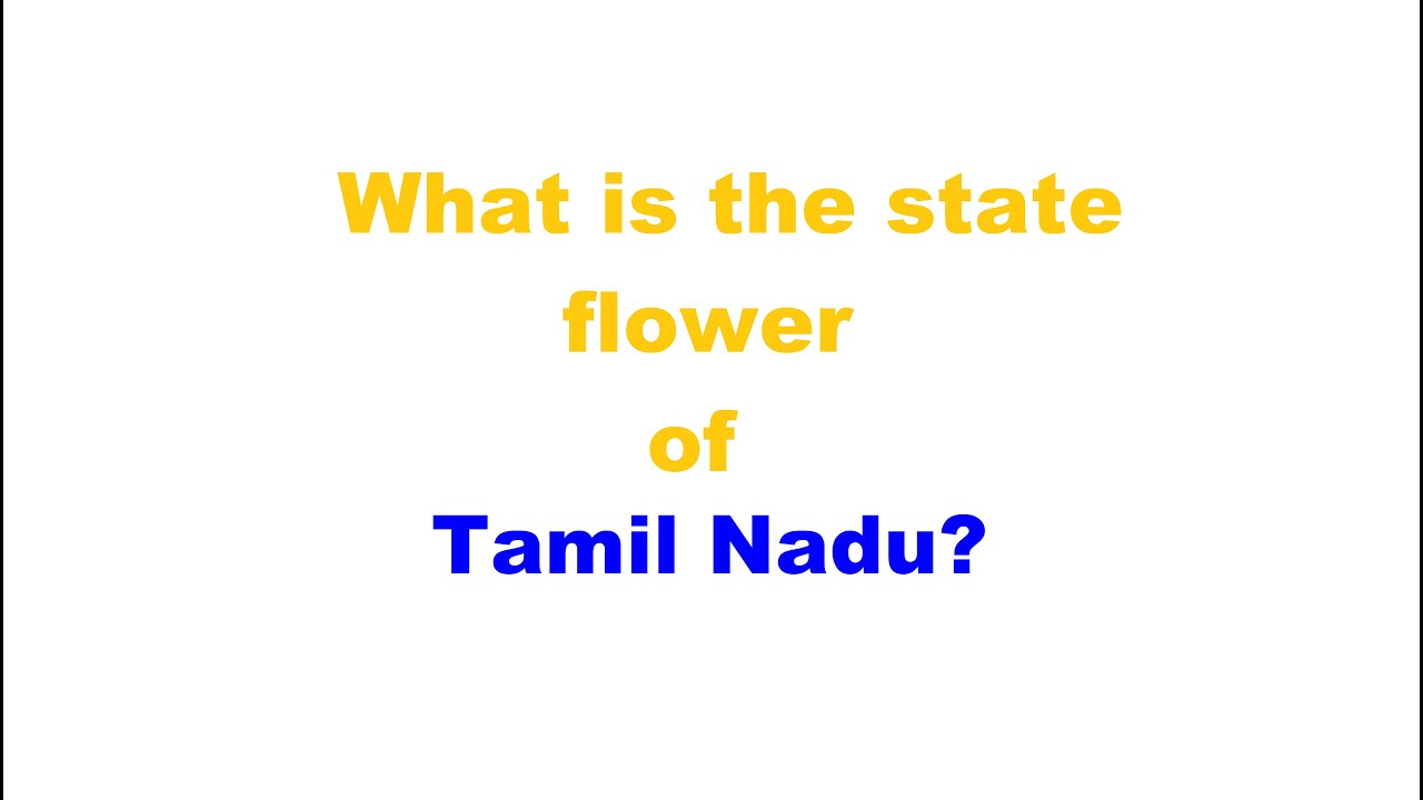 What  is the state flower of  Tamil Nadu?