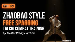 Zhaobao Taiji Free Sparring Combat Tech Wushu Training Tai Chi Kung Fu | Part 1/3 [DW026]