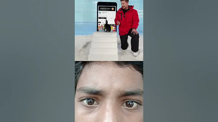 Can I Teach a Penguin To Subscribe? #helpmemakethismakesense #automobile #challenge #mrbeast #like