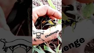 wasp sting challenge | wasp sting challenge