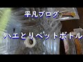 【平凡ブログ　9月21日】ハエとりペットボトル作ってみた　ハエとり トラップ　害虫駆除　ハエ駆除　蠅簡単駆除　Japanese fly trap