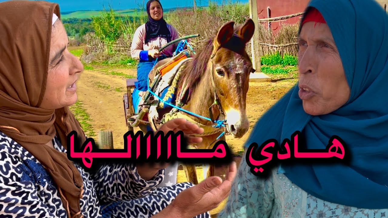 أخيرا مي الزعرية دوات على حقها 😂 عمي قاسم قريب تنوضها معاه